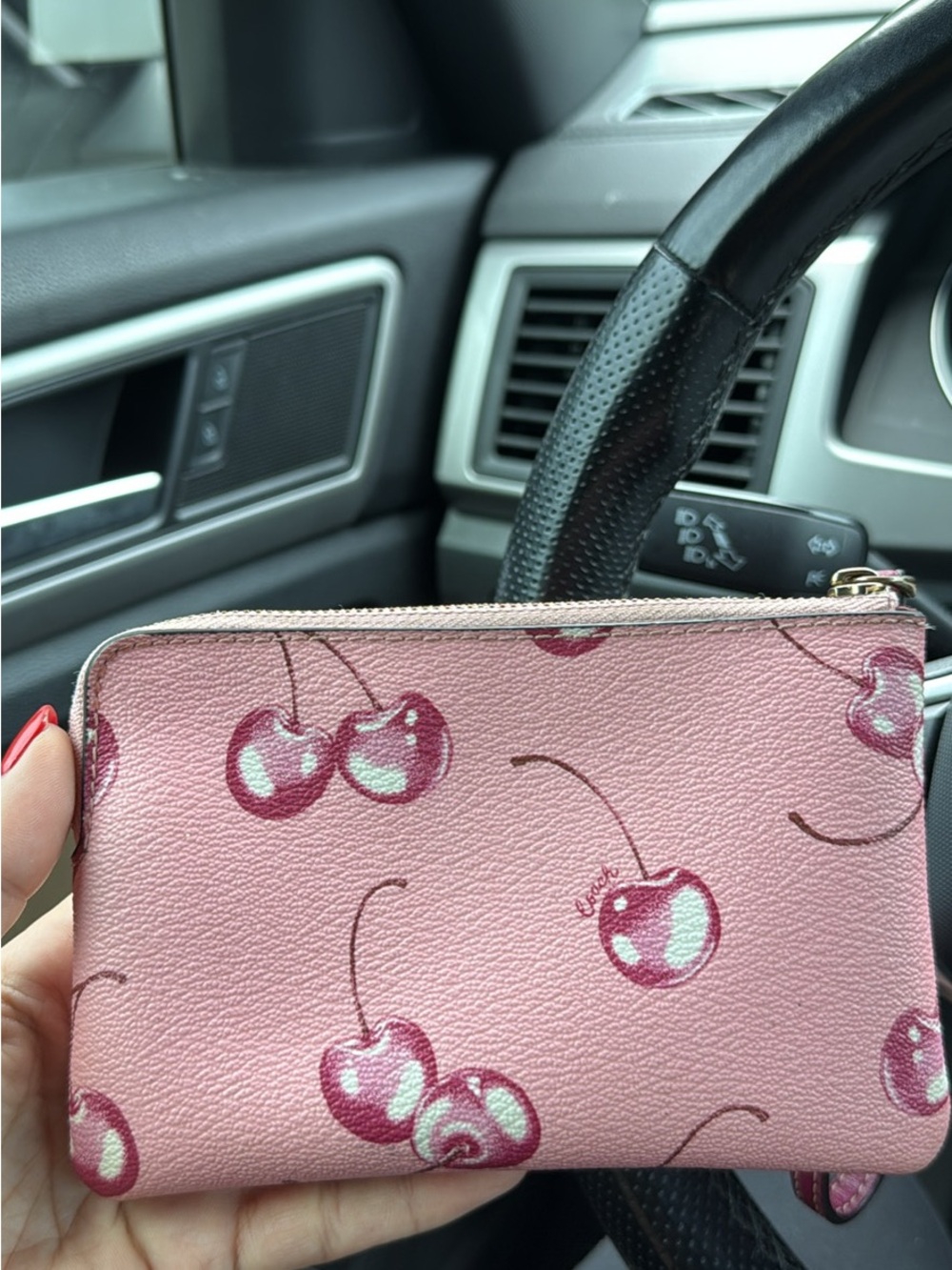 Coach Pink Cherry Print Zip Pouch